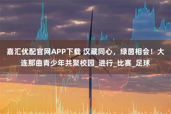 嘉汇优配官网APP下载 汉藏同心，绿茵相会！大连那曲青少年共聚校园_进行_比赛_足球